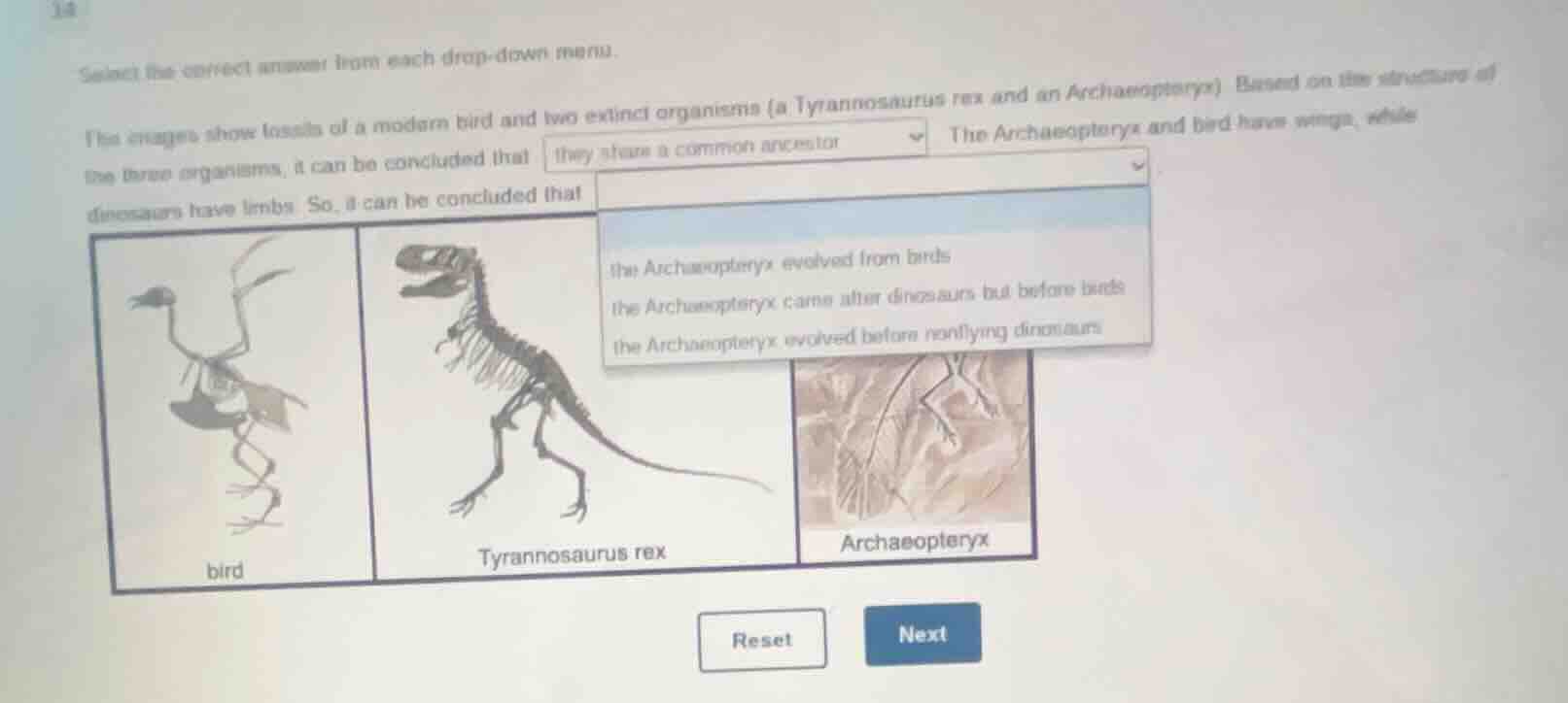 select the correct answer from each drop - down menu. the images show f…
