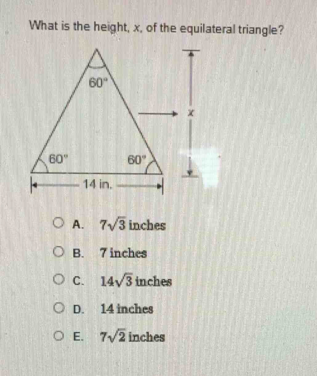what is the height, x, of the equilateral triangle? triangle with 60° a…