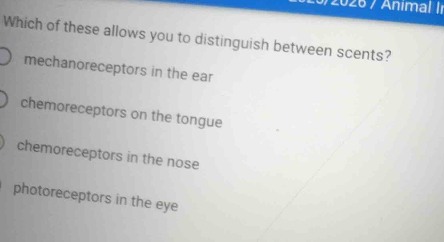 which of these allows you to distinguish between scents? mechanorecepto…