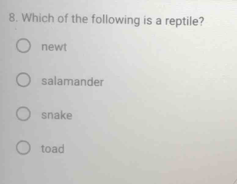 8. which of the following is a reptile? ○ newt ○ salamander ○ snake ○ t…