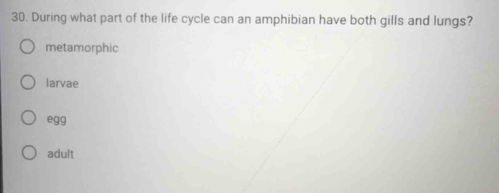 30. during what part of the life cycle can an amphibian have both gills…