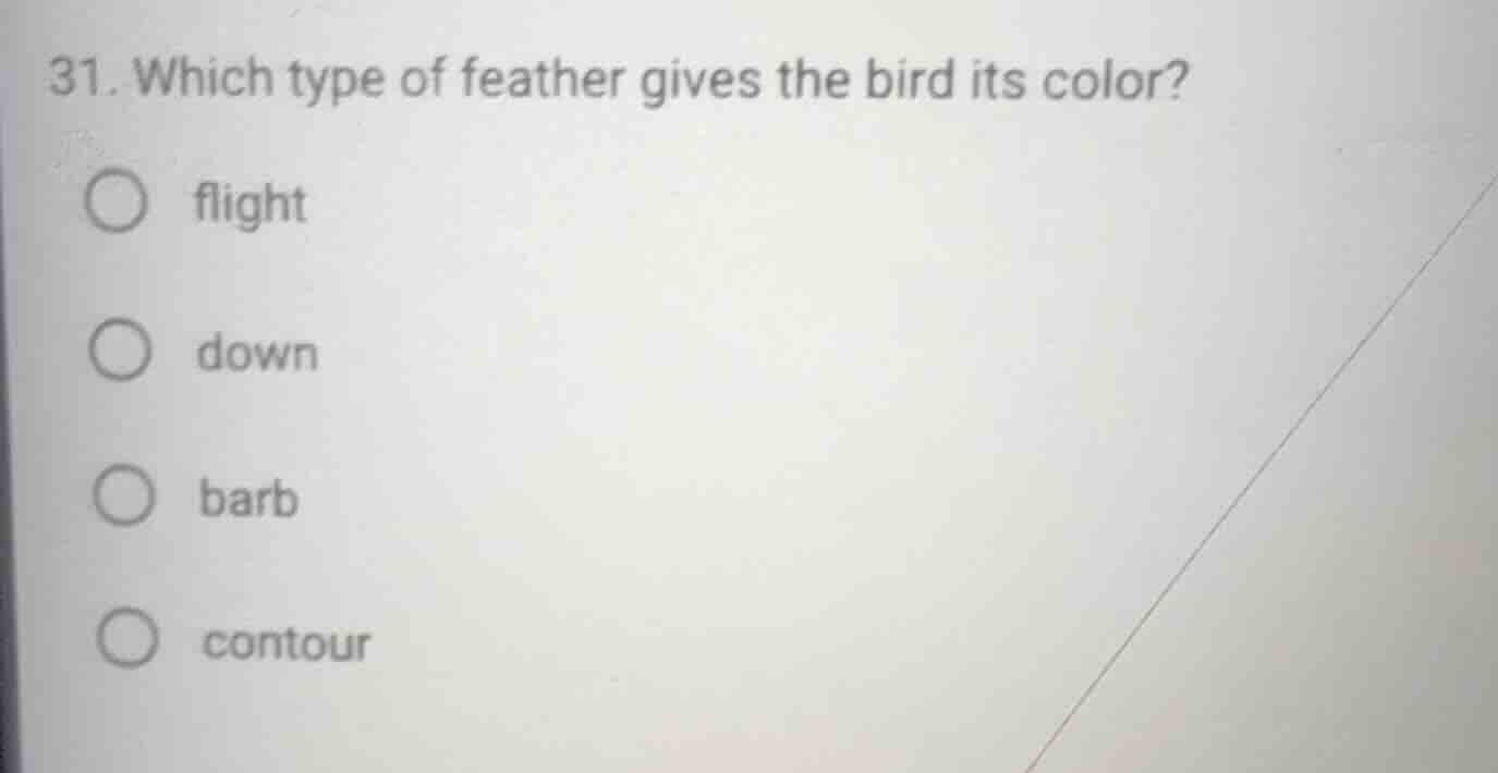 31. which type of feather gives the bird its color? ○ flight ○ down ○ b…