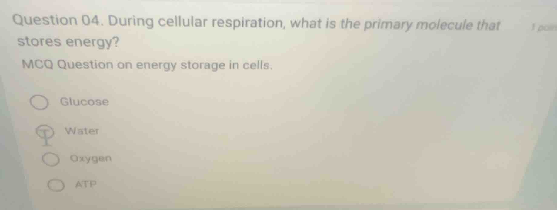 question 04. during cellular respiration, what is the primary molecule …