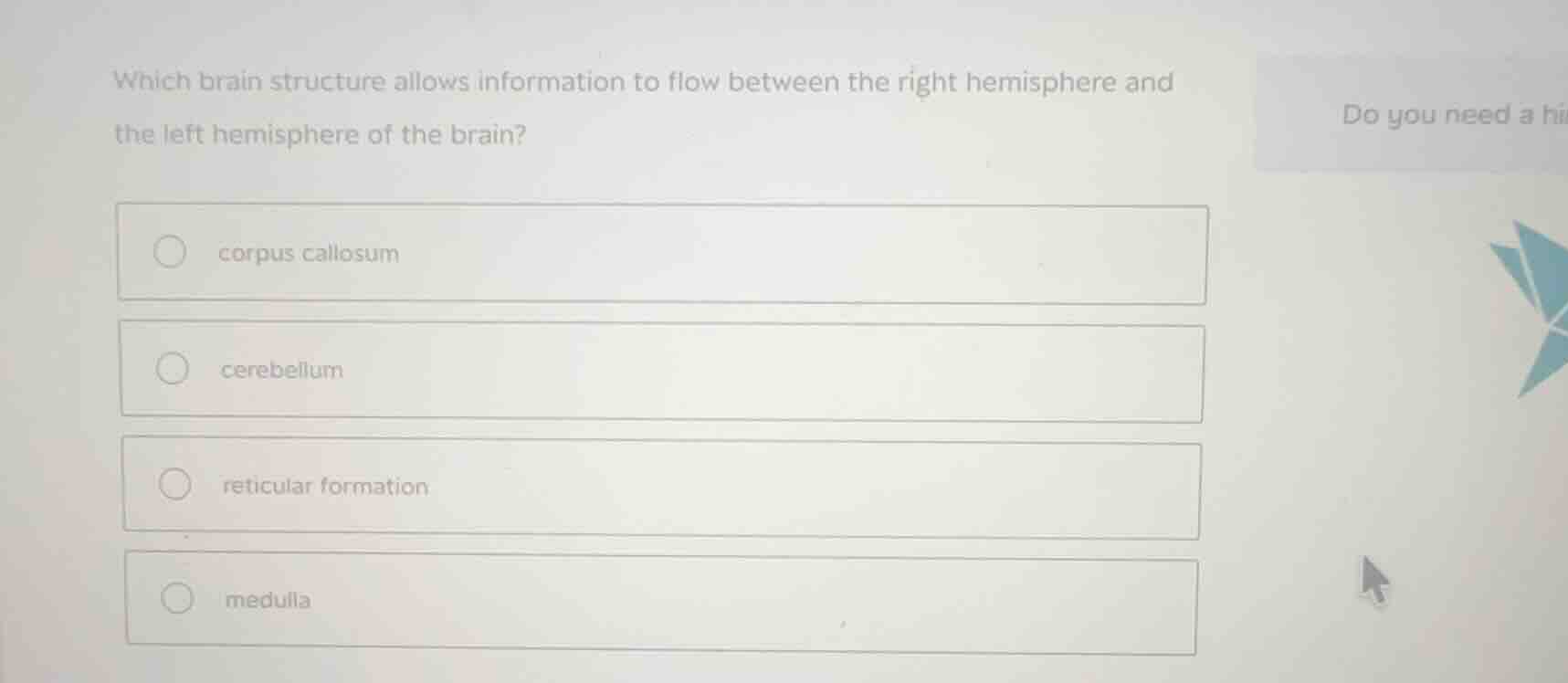 which brain structure allows information to flow between the right hemi…