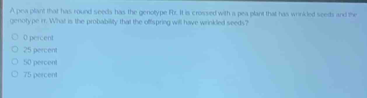 a pea plant that has round seeds has the genotype rr. it is crossed wit…