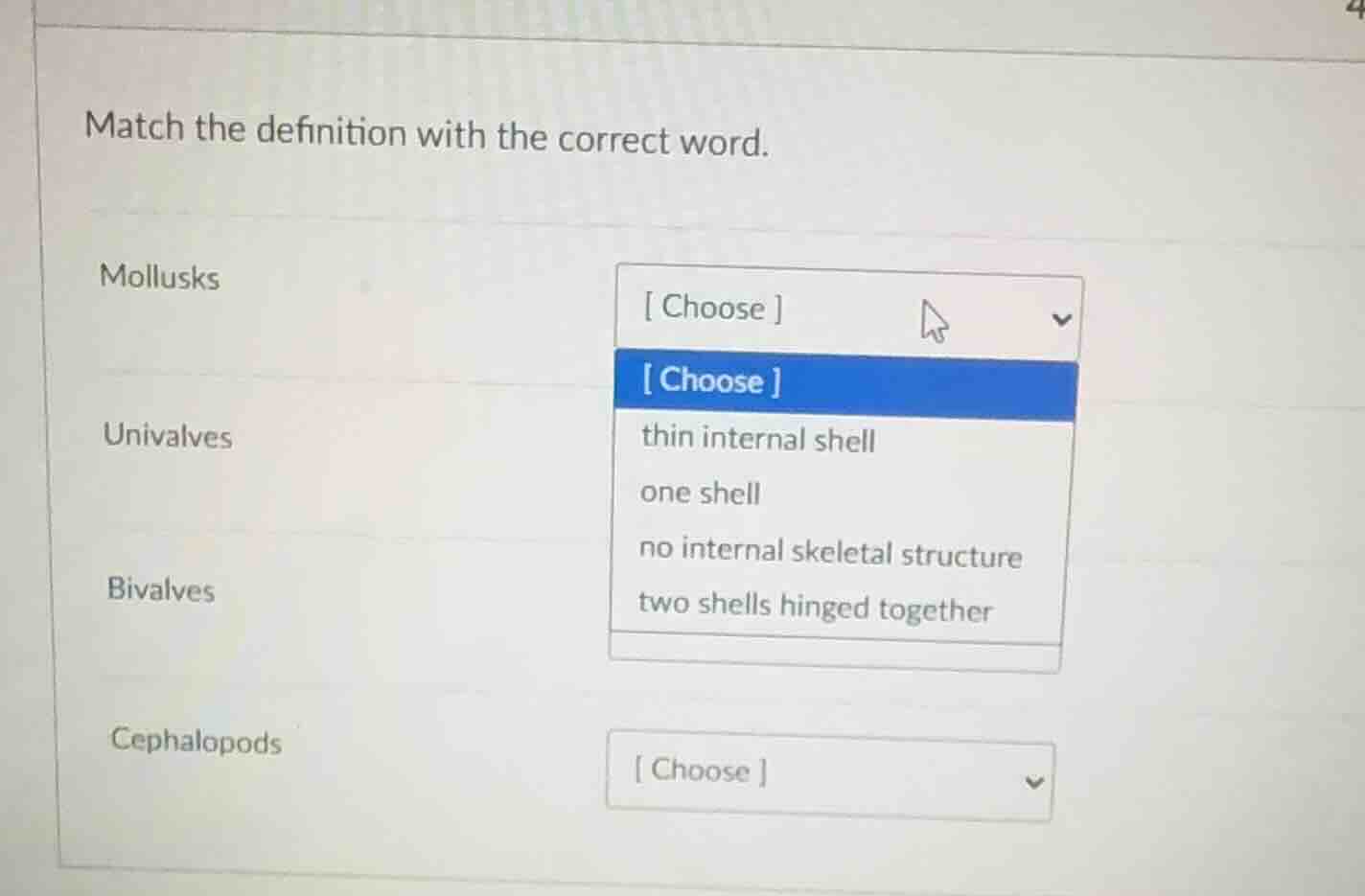 match the definition with the correct word. mollusks choose univalves c…