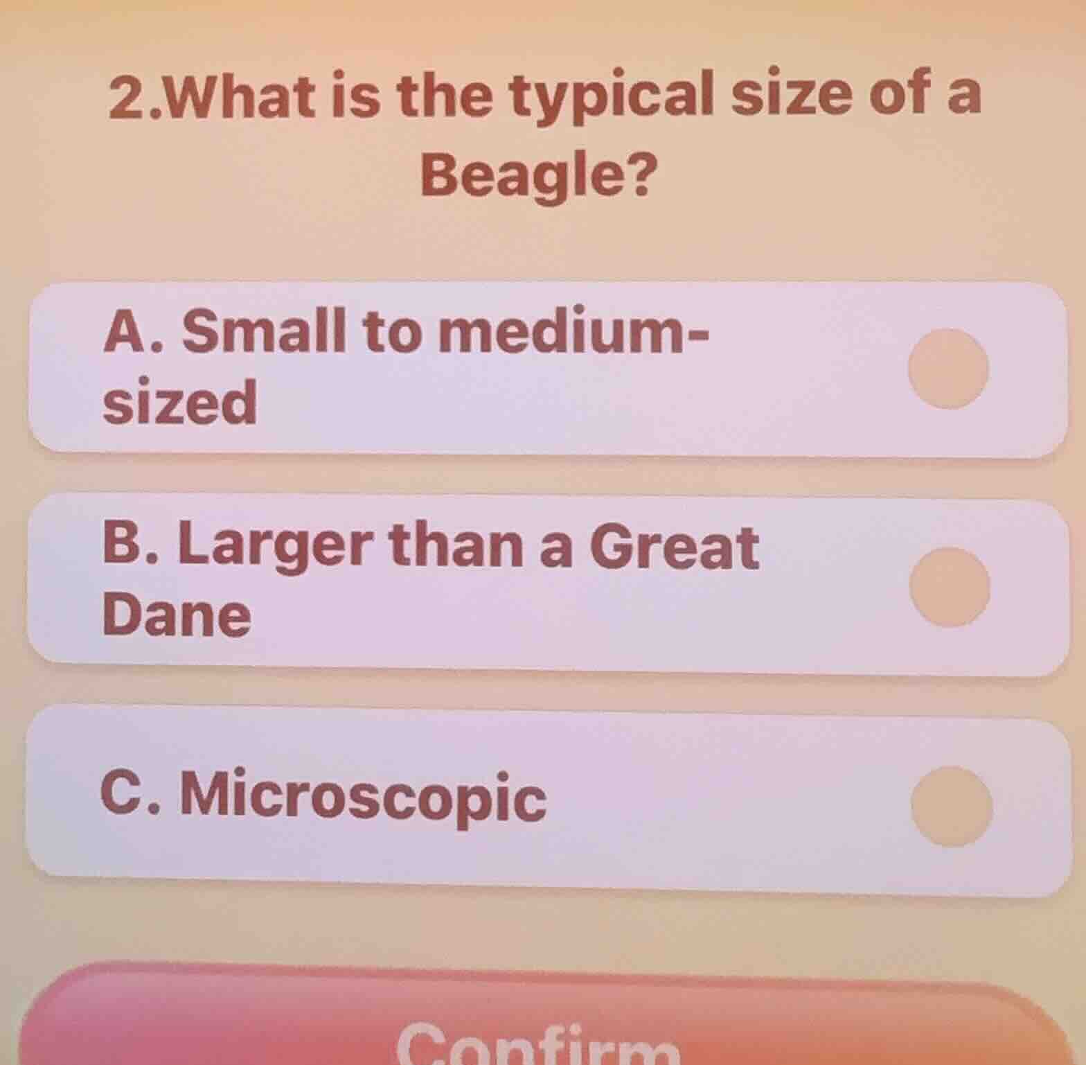 2.what is the typical size of a beagle? a. small to medium-sized b. lar…