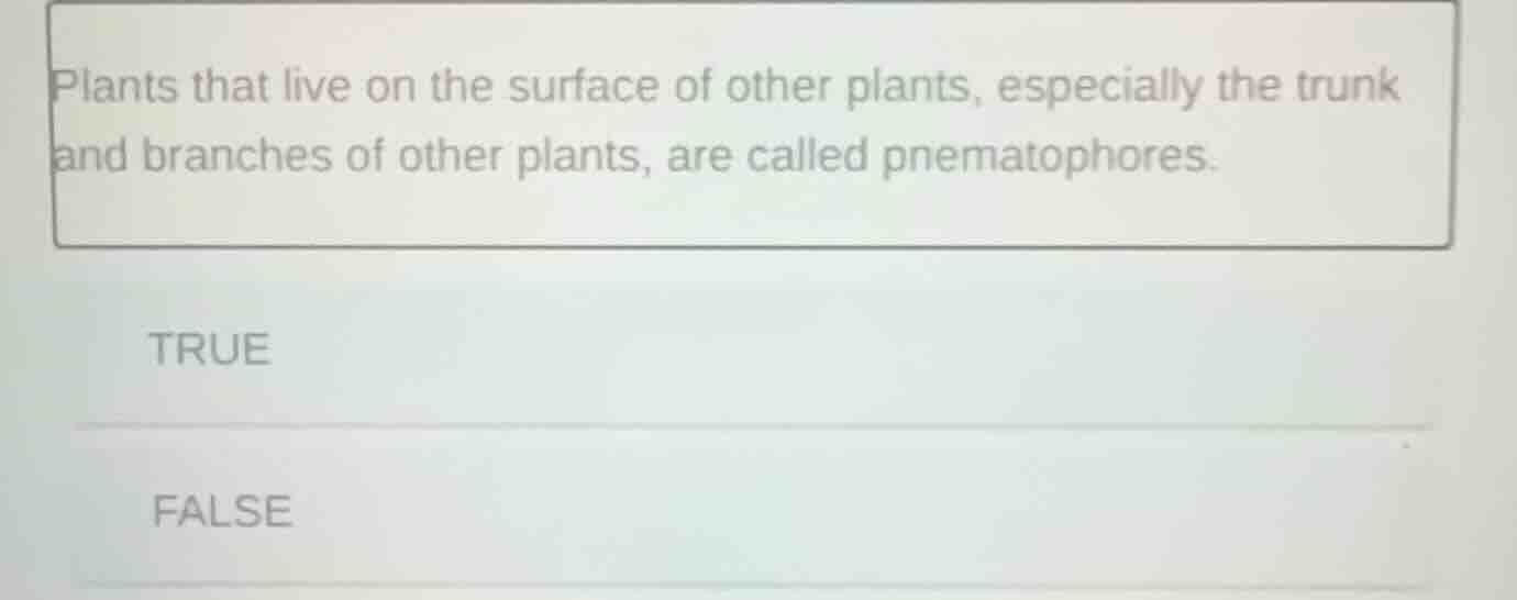 plants that live on the surface of other plants, especially the trunk a…