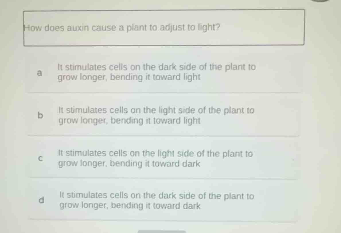 how does auxin cause a plant to adjust to light? a it stimulates cells …