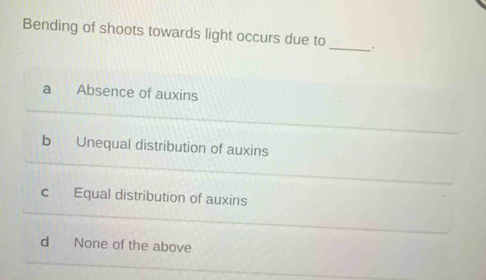bending of shoots towards light occurs due to ______. a absence of auxi…