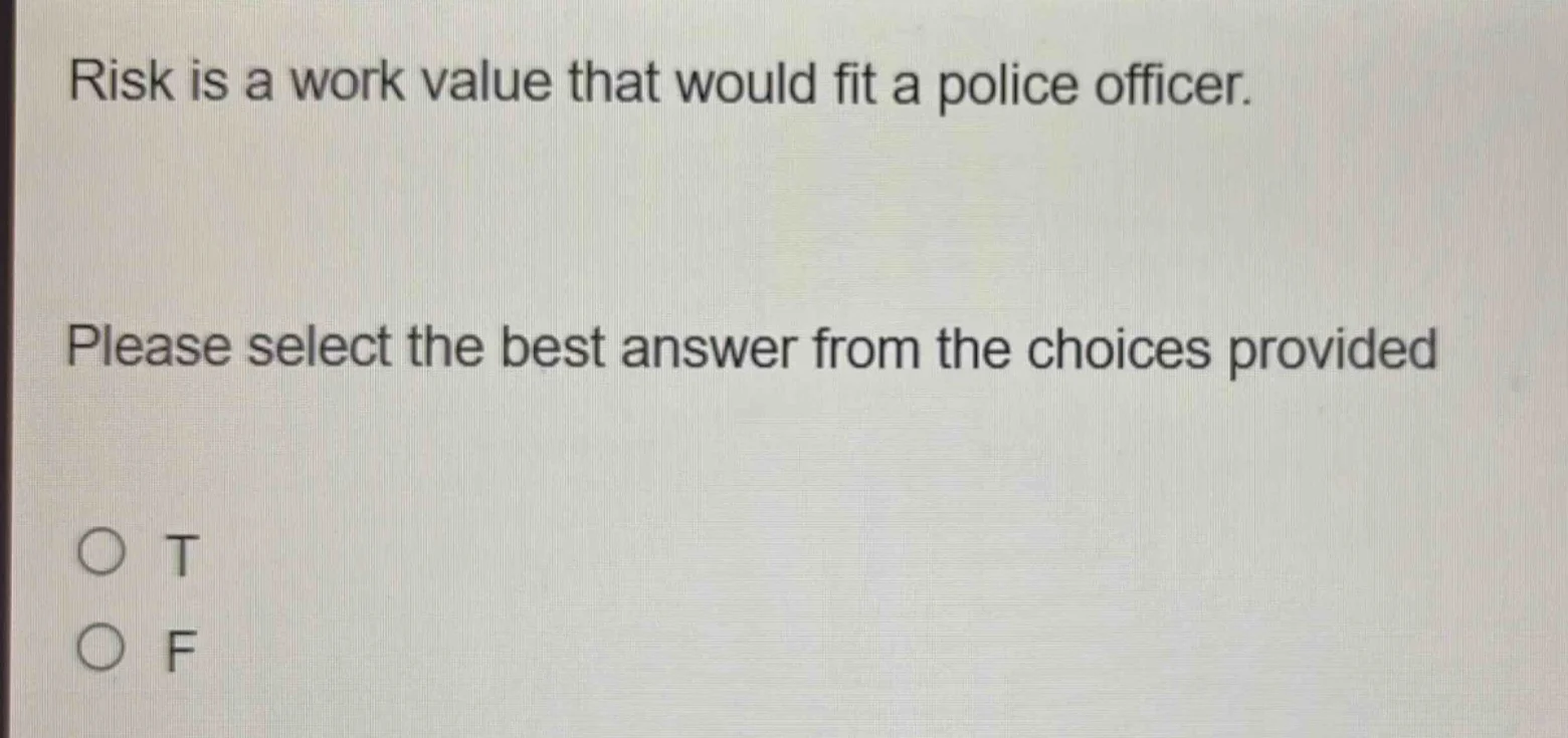risk is a work value that would fit a police officer. please select the…