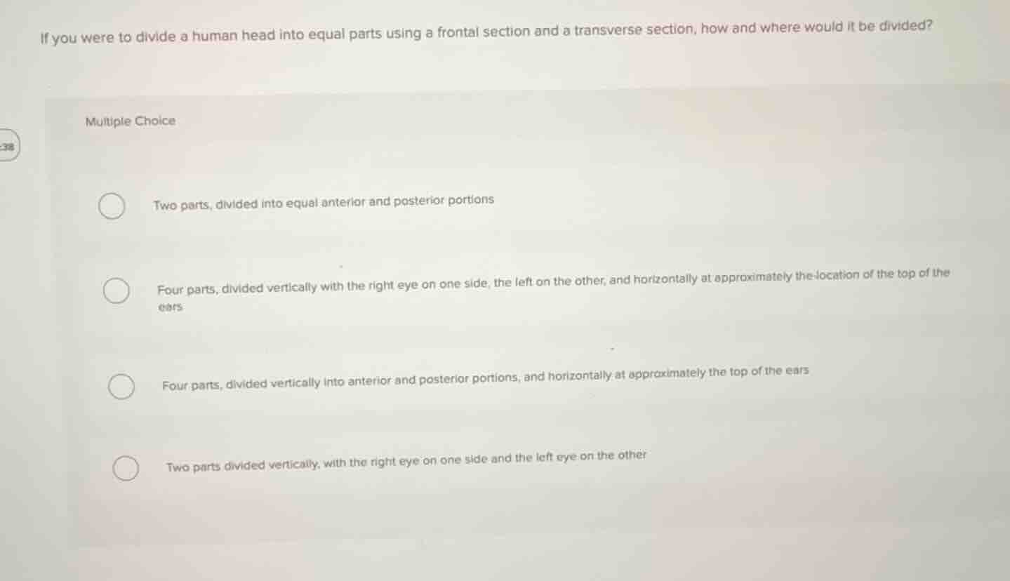 if you were to divide a human head into equal parts using a frontal sec…