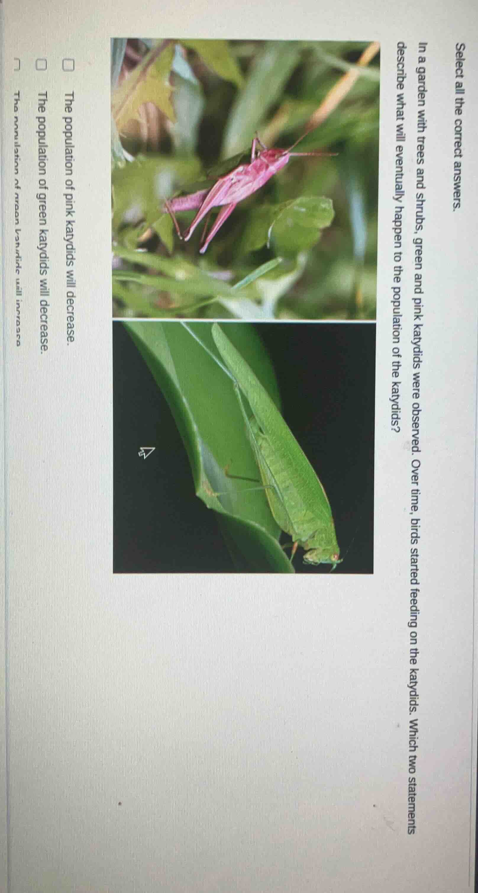 select all the correct answers. in a garden with trees and shrubs, gree…