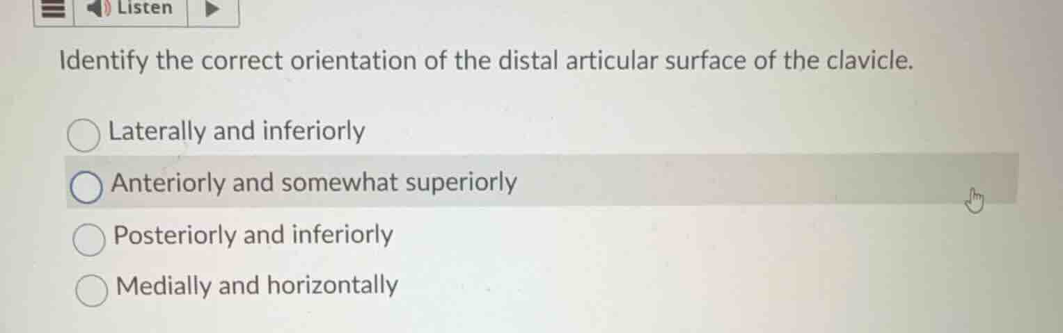 identify the correct orientation of the distal articular surface of the…