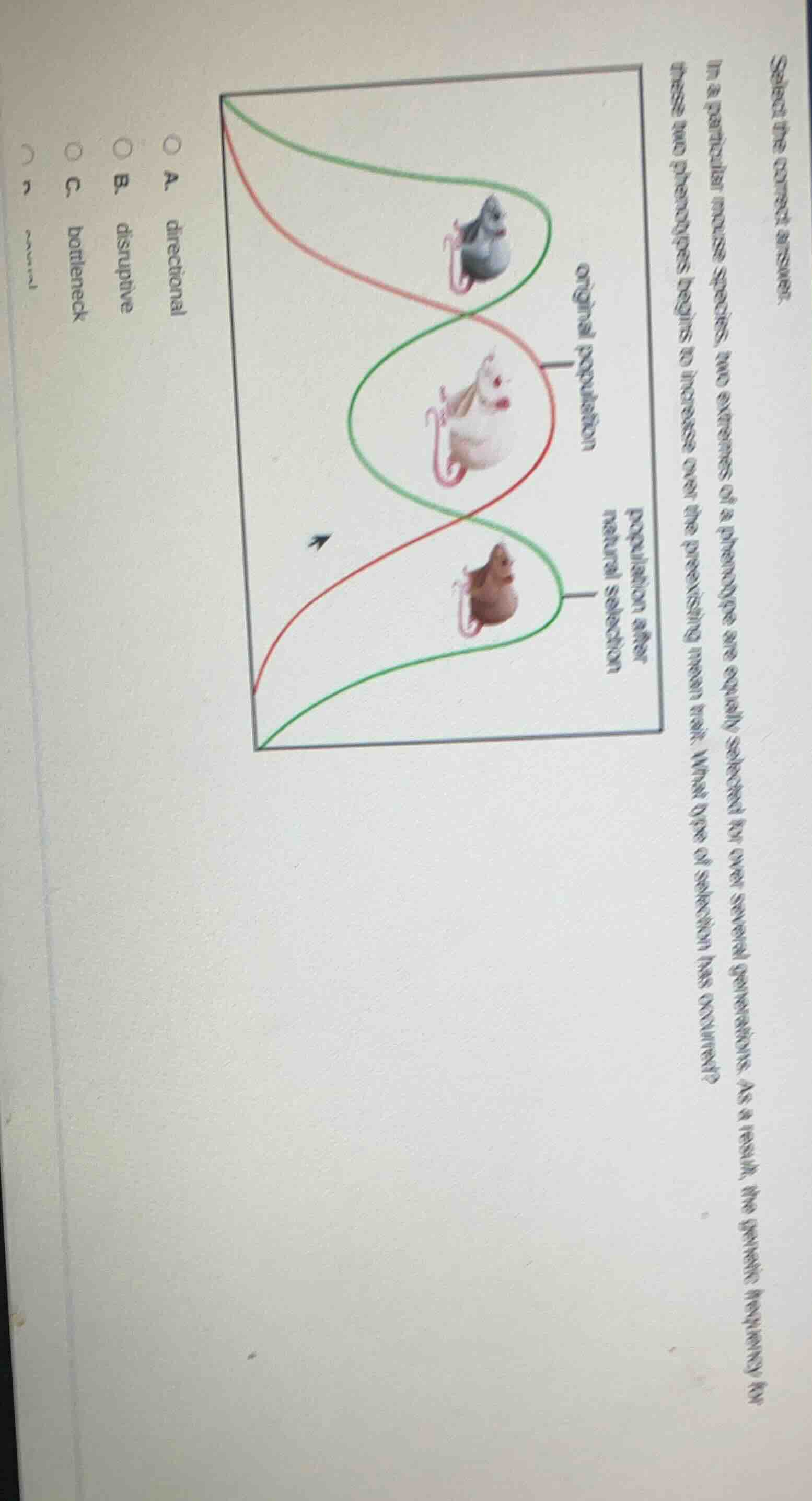 select the correct answer. in a particular mouse species, two extremes …