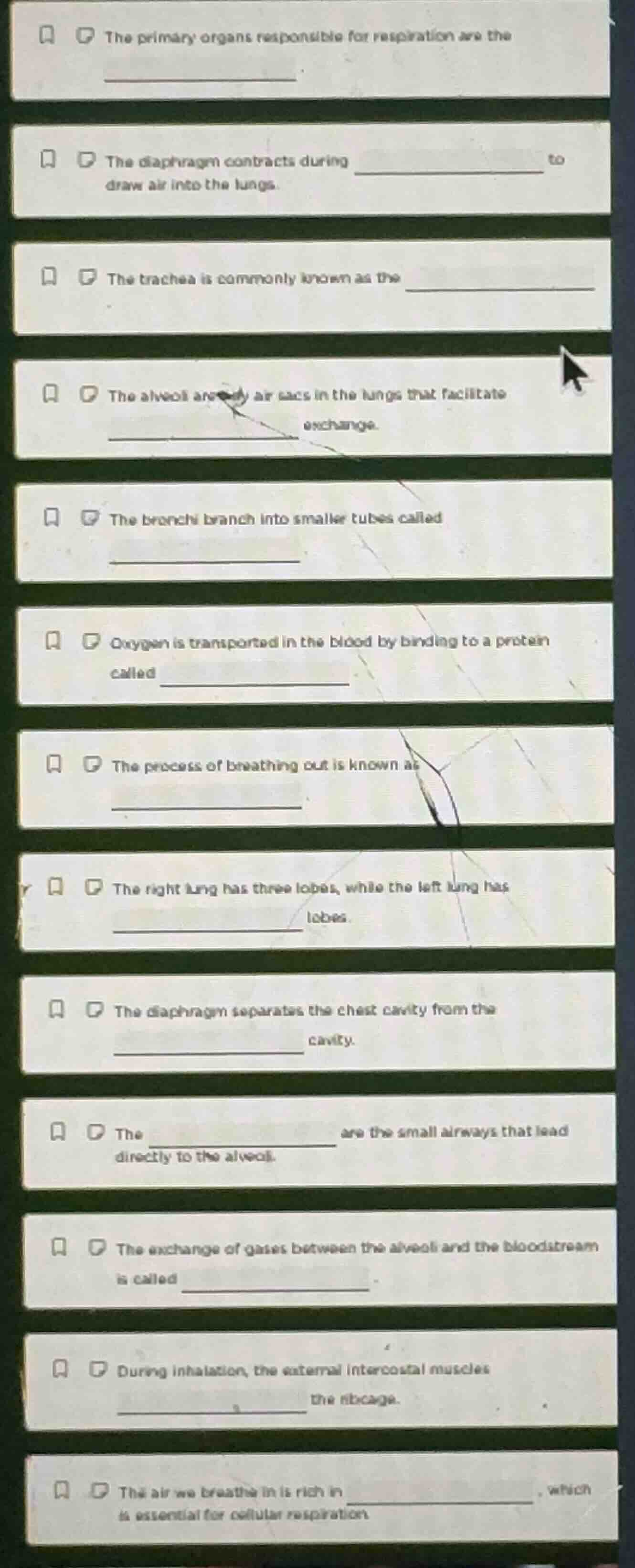 the primary organs responsible for respiration are the __________. the …