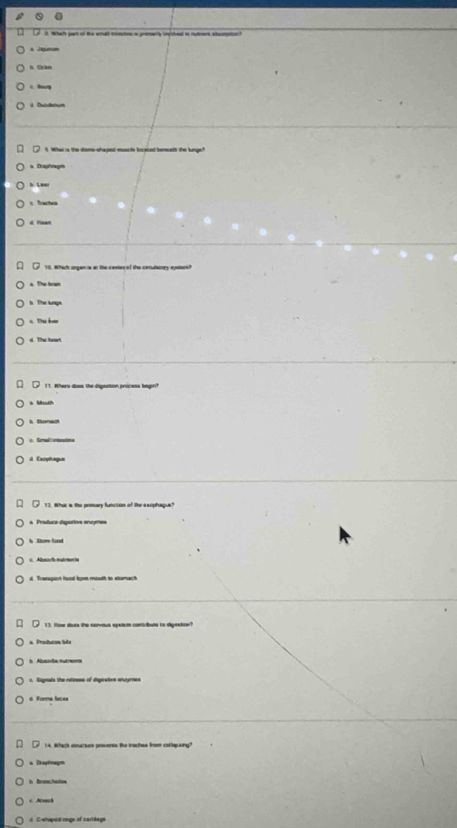 8. which part of the small intestine is primarily involved in nutrient …