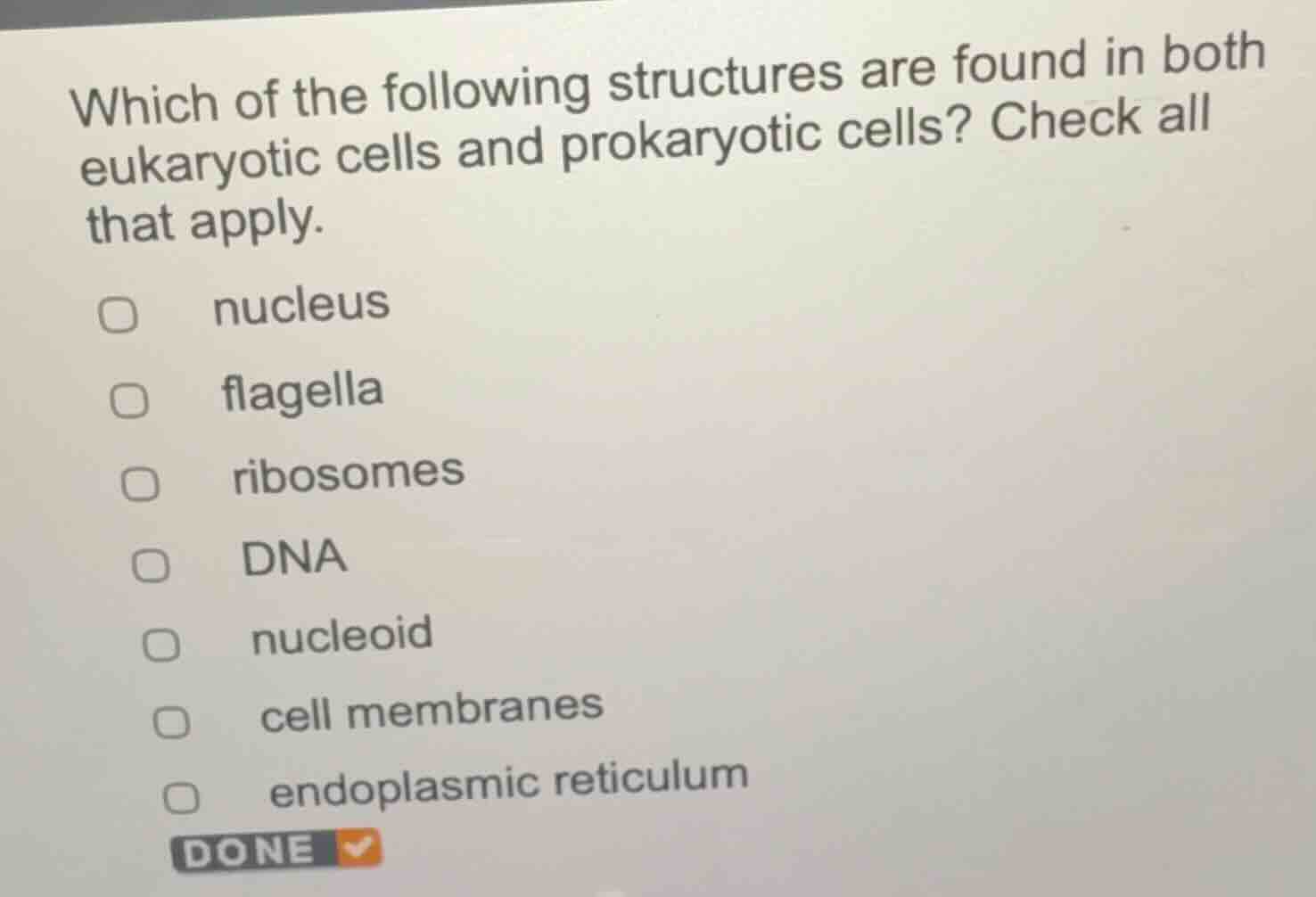 which of the following structures are found in both eukaryotic cells an…