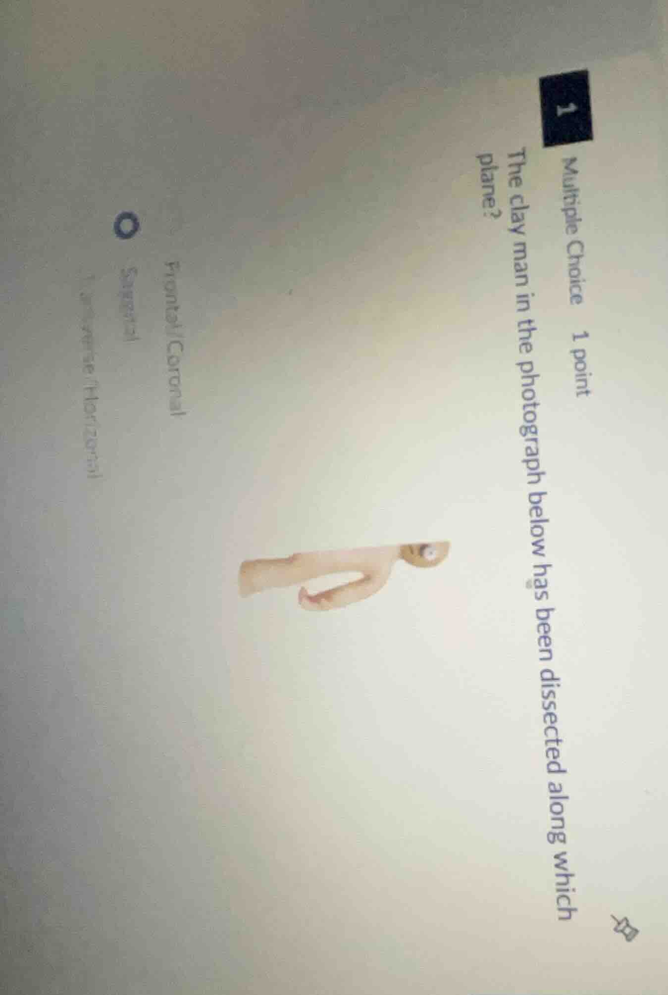 multiple choice 1 point the clay man in the photograph below has been d…