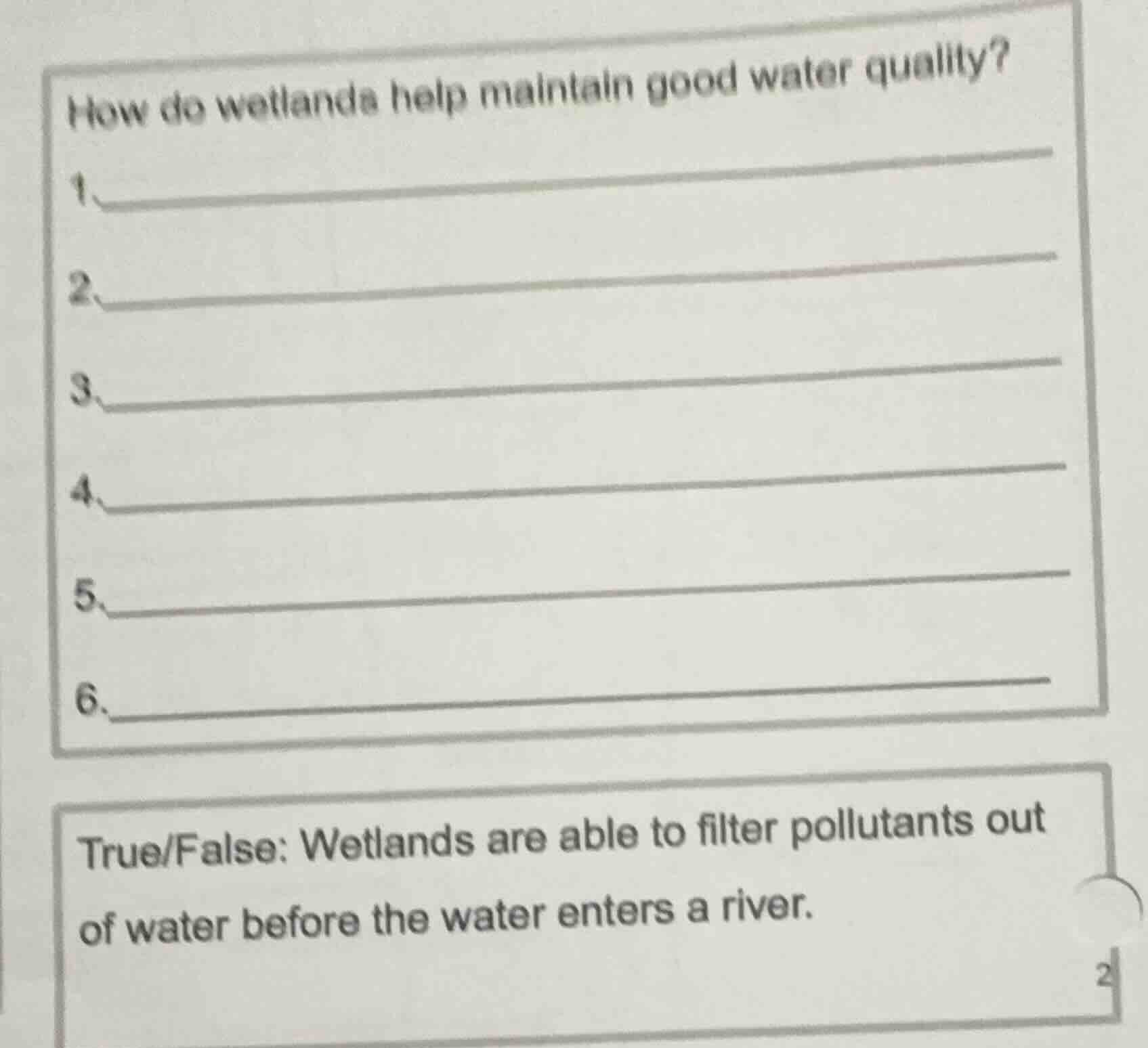 how do wetlands help maintain good water quality? 1. 2. 3. 4. 5. 6. tru…