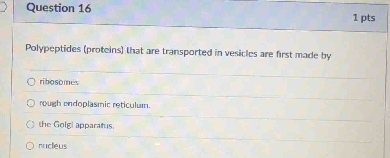 question 16 1 pts polypeptides (proteins) that are transported in vesic…
