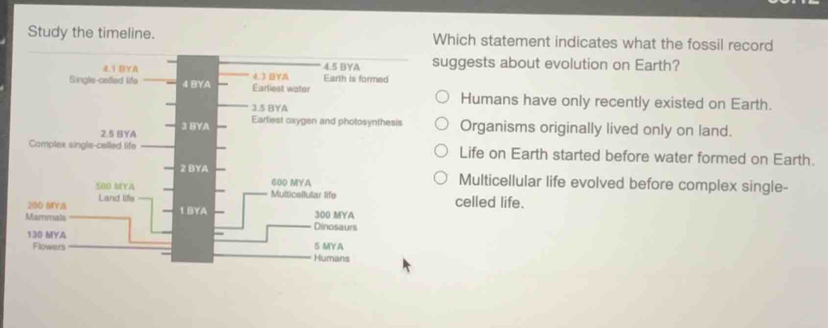 study the timeline. which statement indicates what the fossil record su…