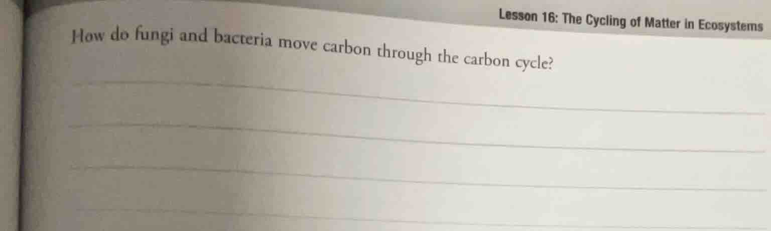 lesson 16: the cycling of matter in ecosystems how do fungi and bacteri…