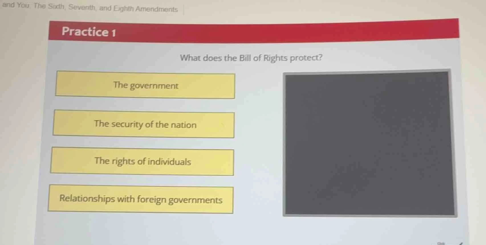 practice 1 what does the bill of rights protect? the government the sec…