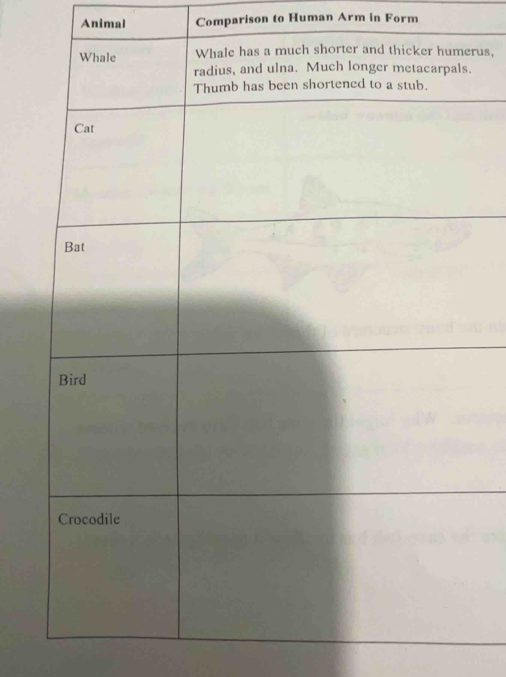 | animal | comparison to human arm in form | | ---- | ---- | | whale | …