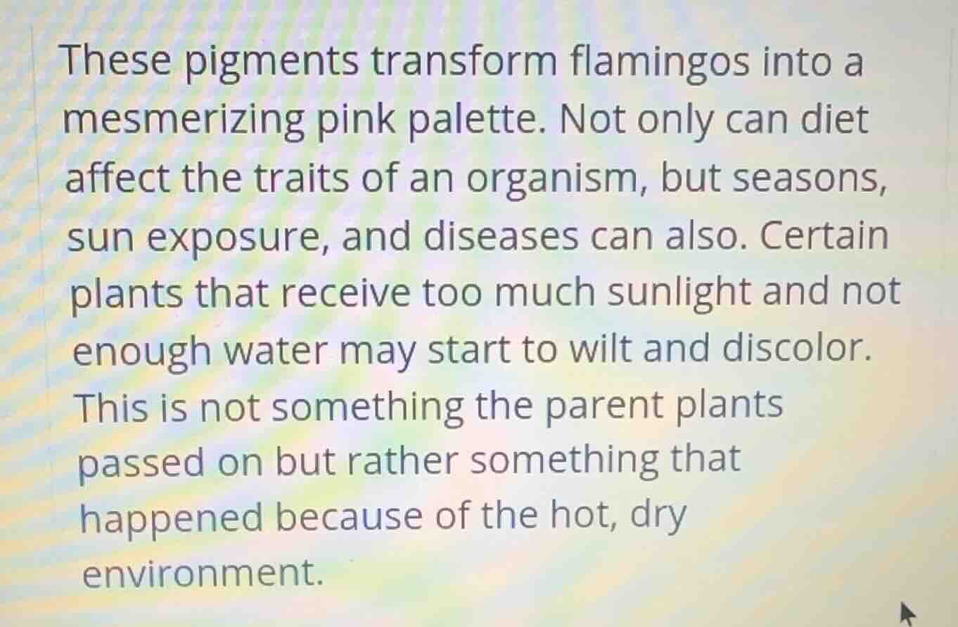 these pigments transform flamingos into a mesmerizing pink palette. not…