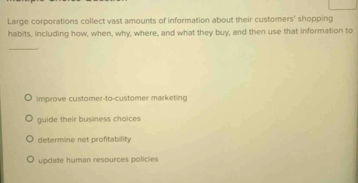large corporations collect vast amounts of information about their cust…