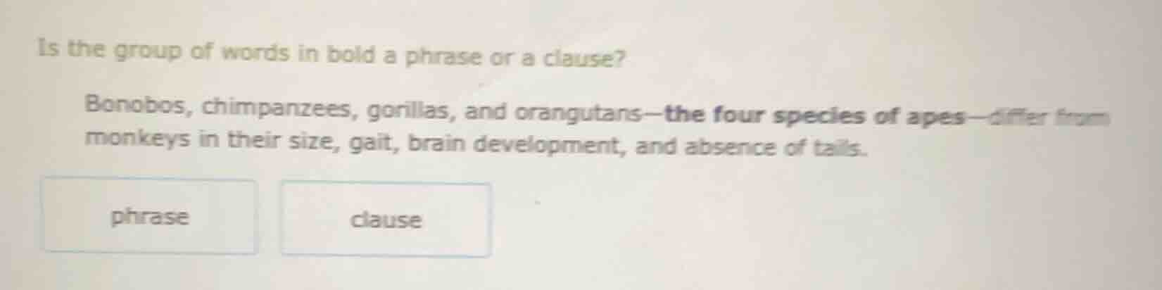 is the group of words in bold a phrase or a clause? bonobos, chimpanzee…