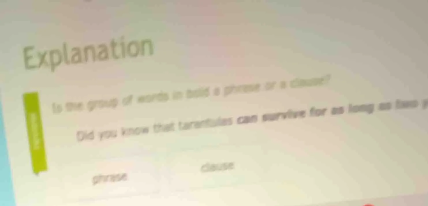 explanation is the group of words in bold a phrase or a clause? did you…