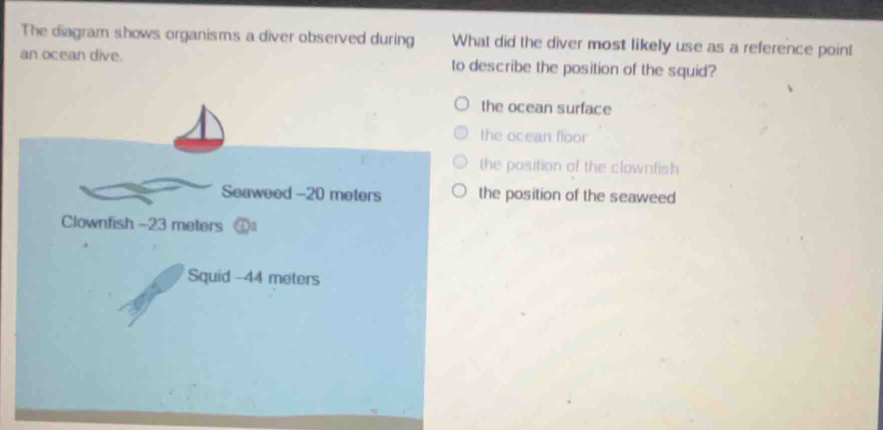 the diagram shows organisms a diver observed during an ocean dive. what…