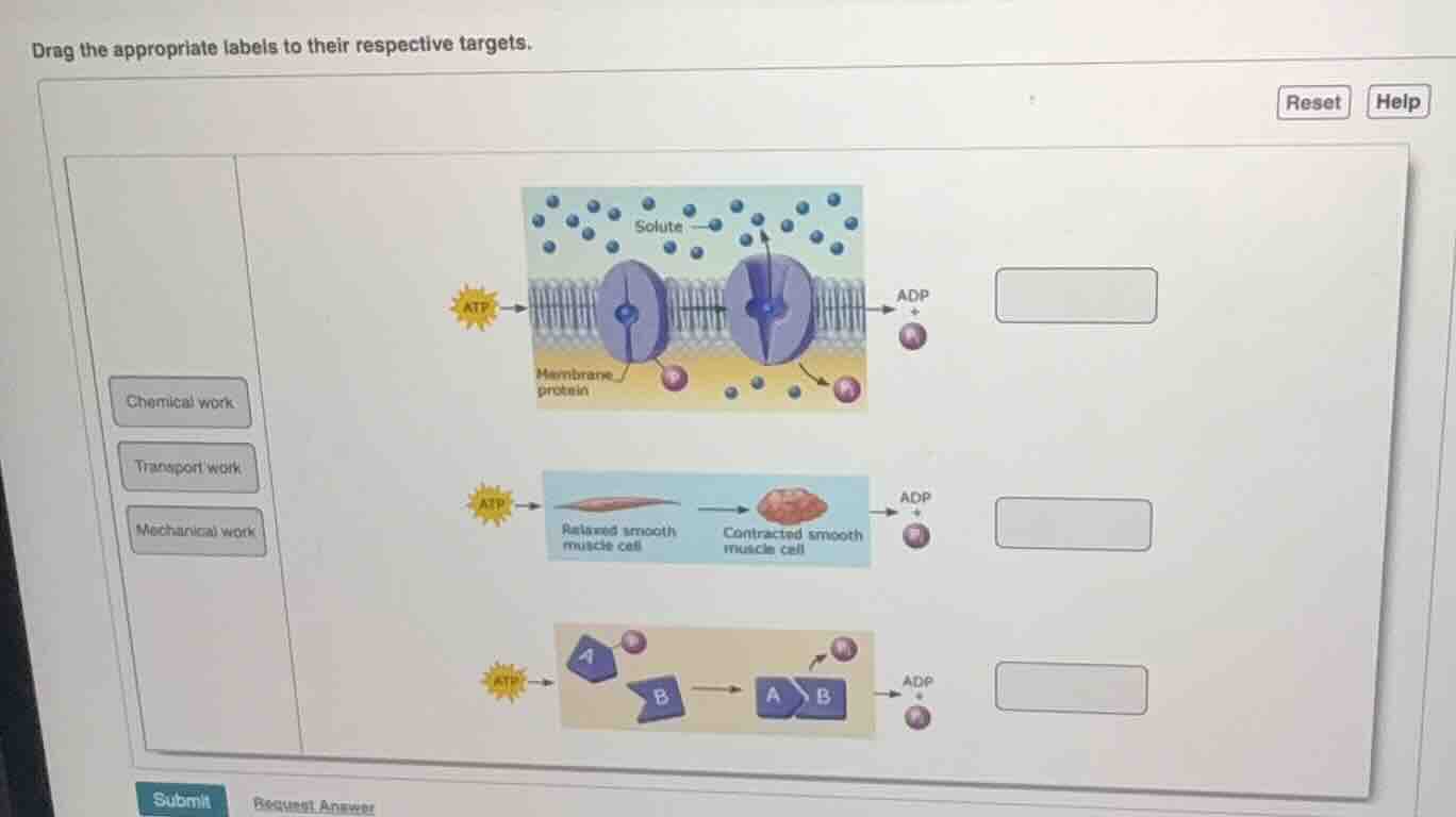 drag the appropriate labels to their respective targets. chemical work …