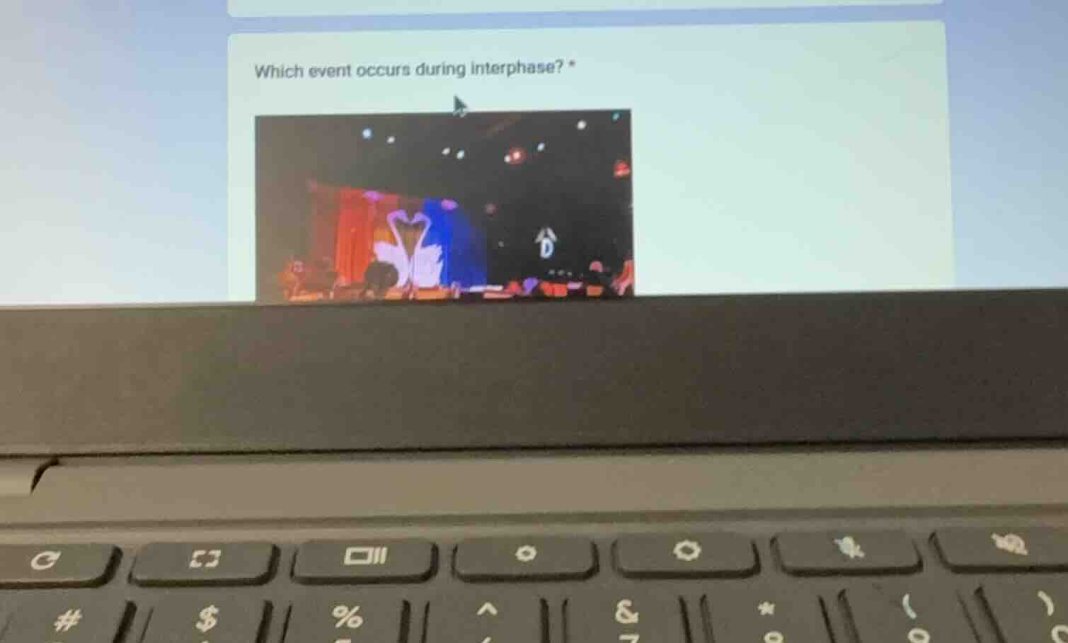 which event occurs during interphase? *