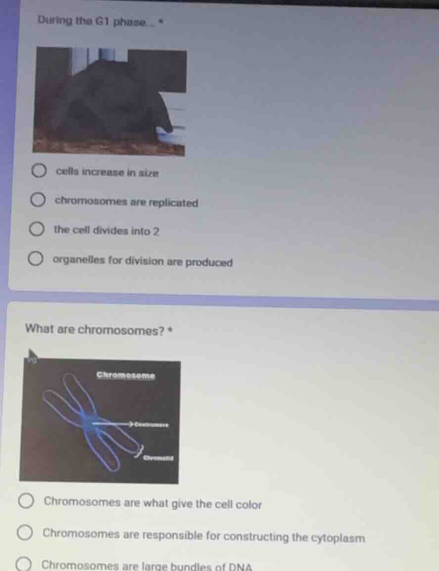 during the g1 phase... cells increase in size chromosomes are replicate…