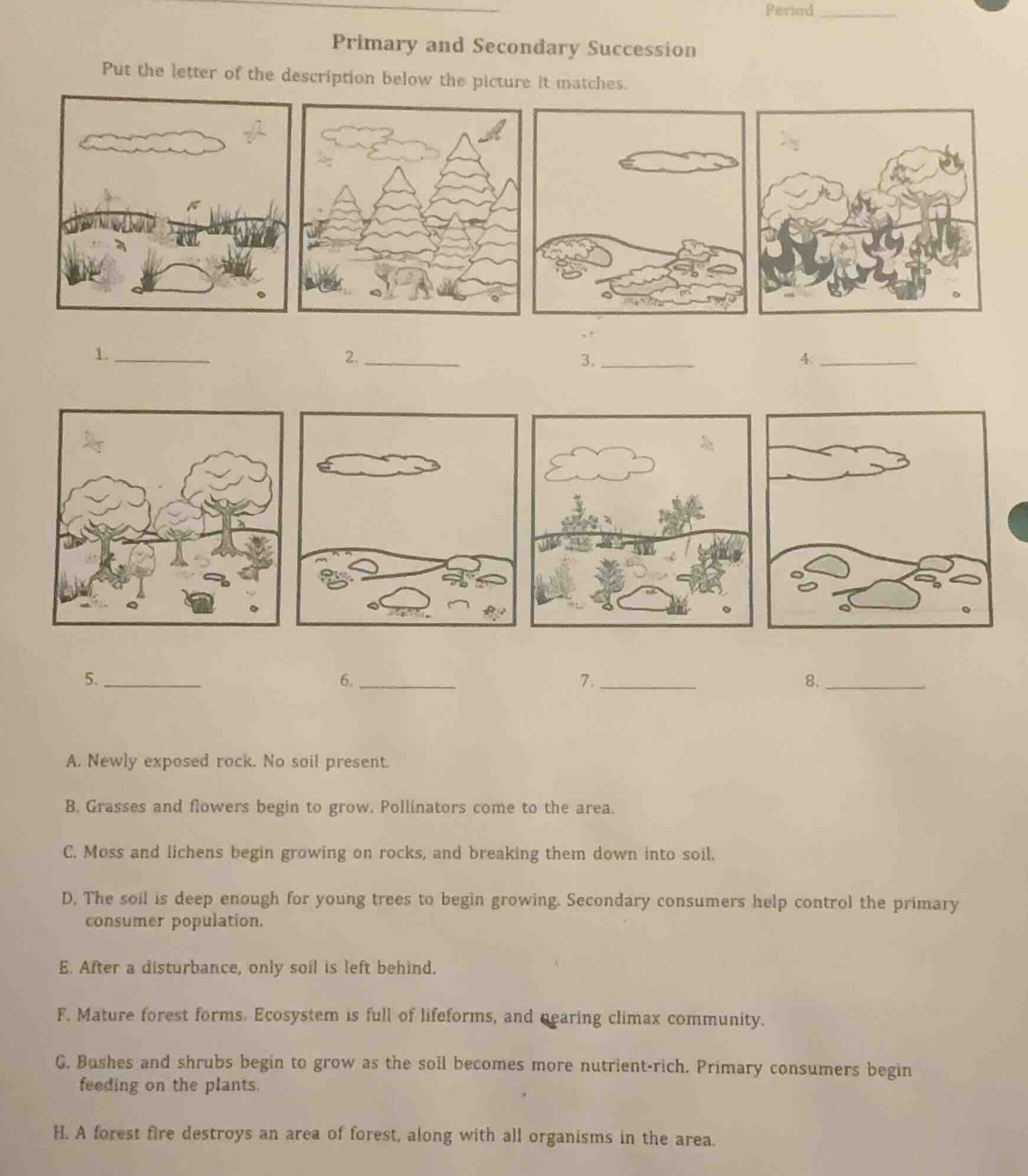 primary and secondary succession put the letter of the description belo…