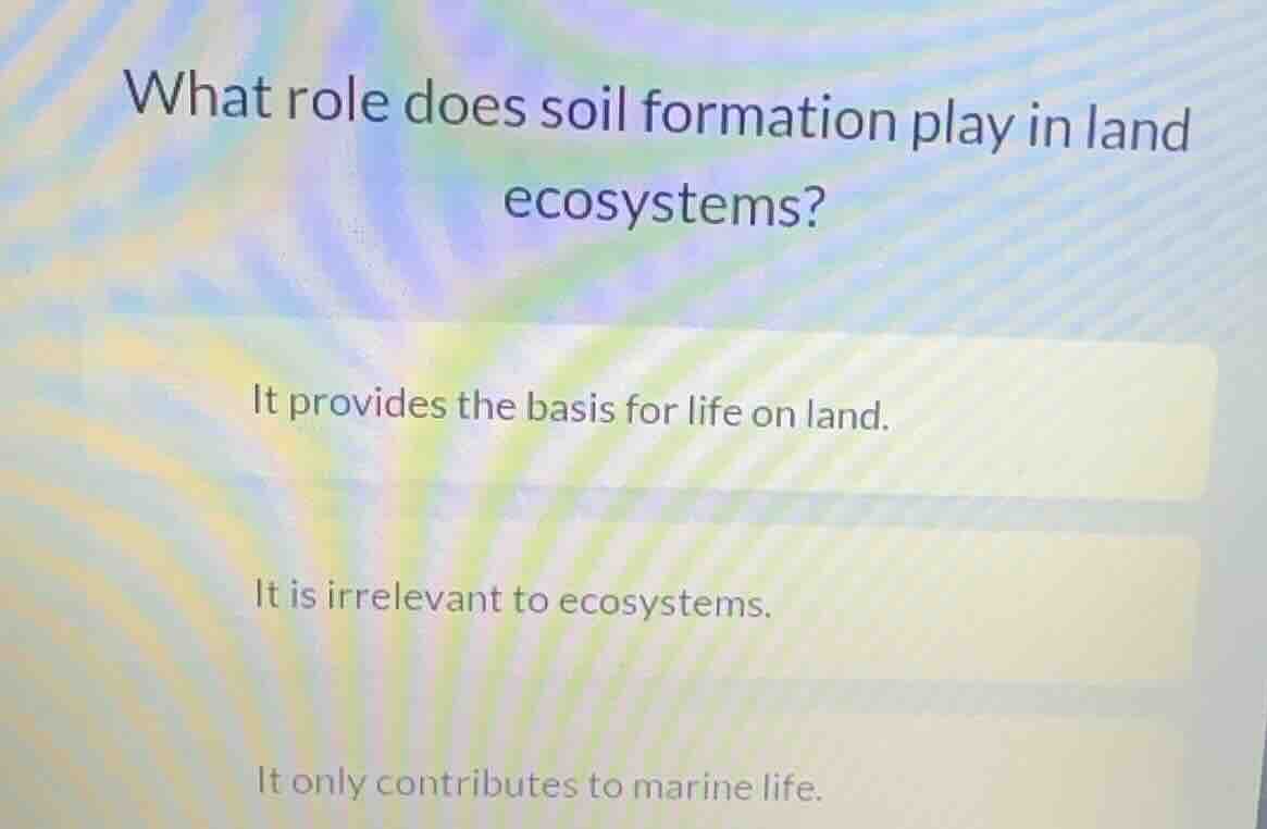 what role does soil formation play in land ecosystems? it provides the …