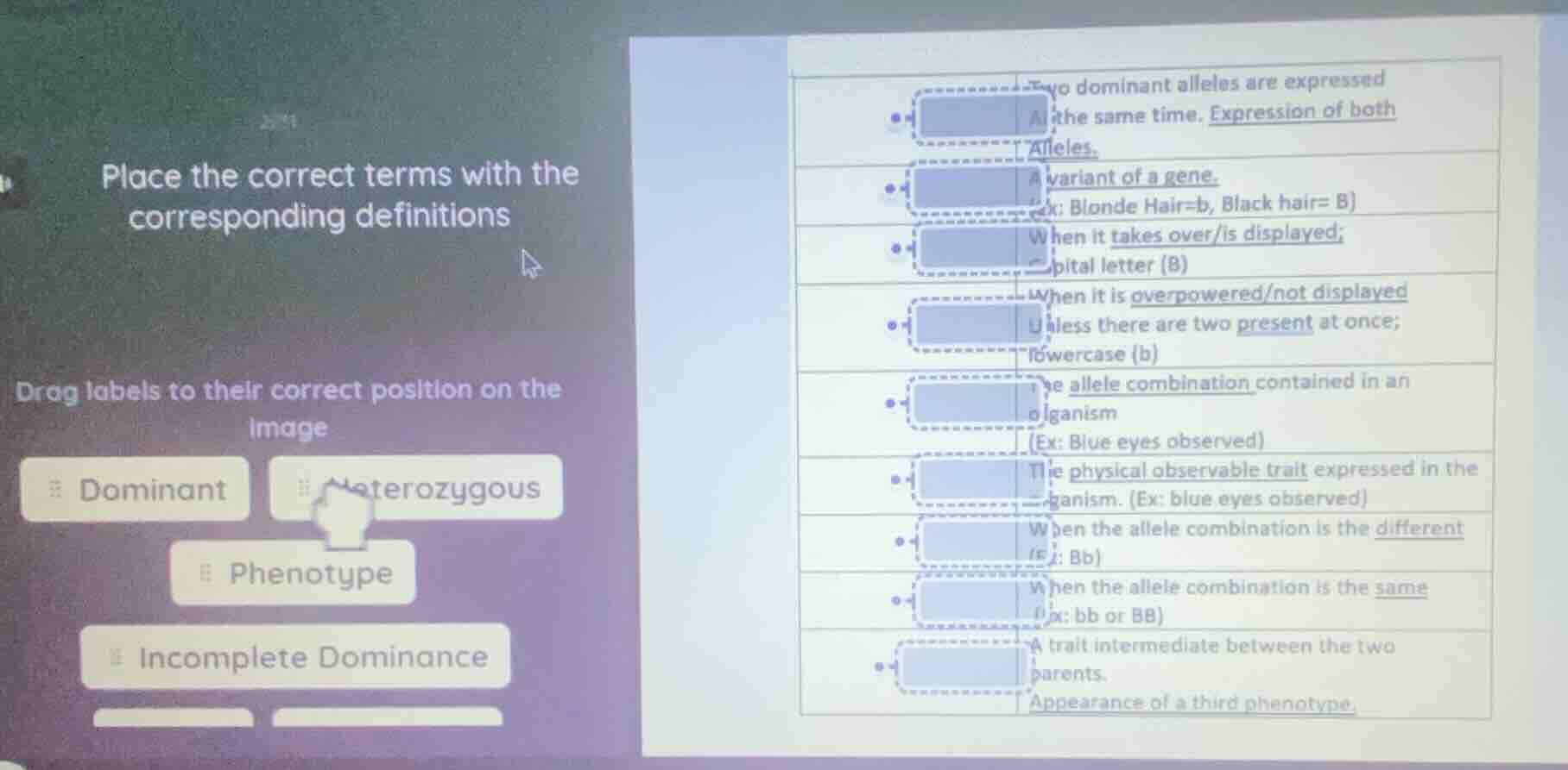 place the correct terms with the corresponding definitions drag labels …