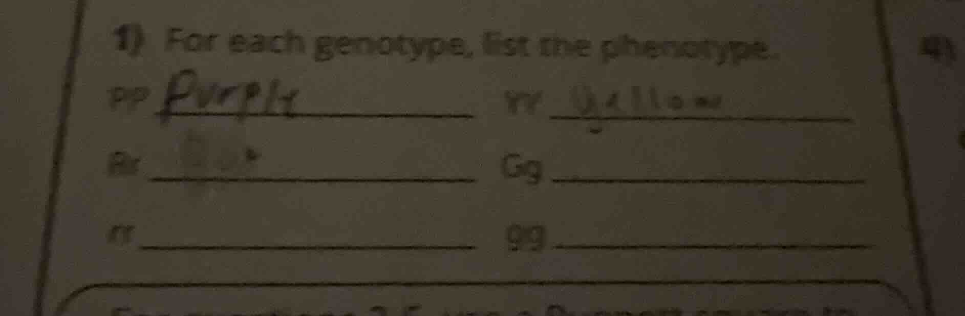1) for each genotype, list the phenotype. pp rr rr gg rr gg