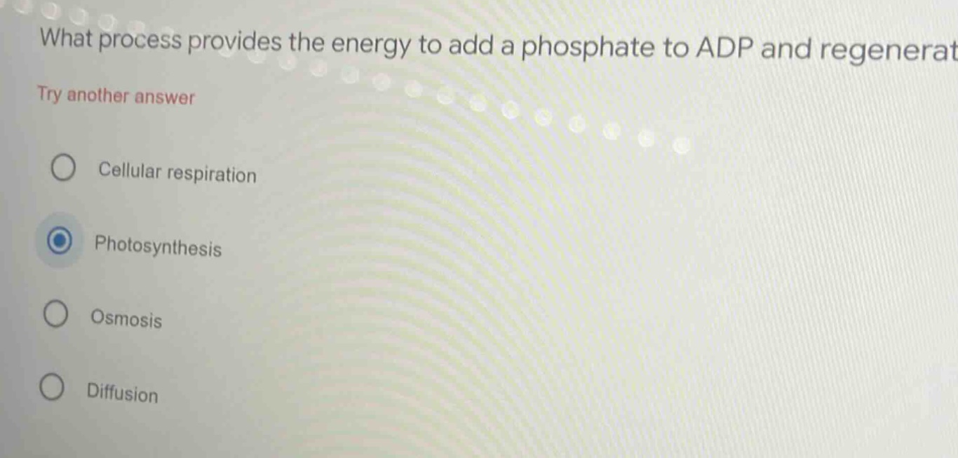 what process provides the energy to add a phosphate to adp and regenera…
