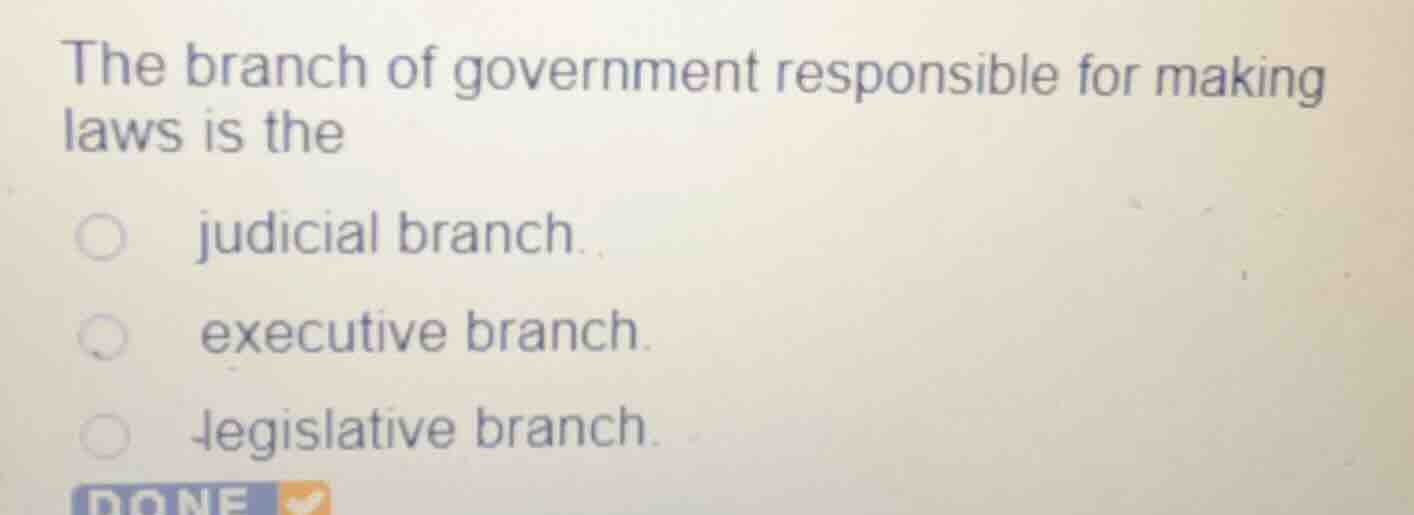 the branch of government responsible for making laws is the judicial br…