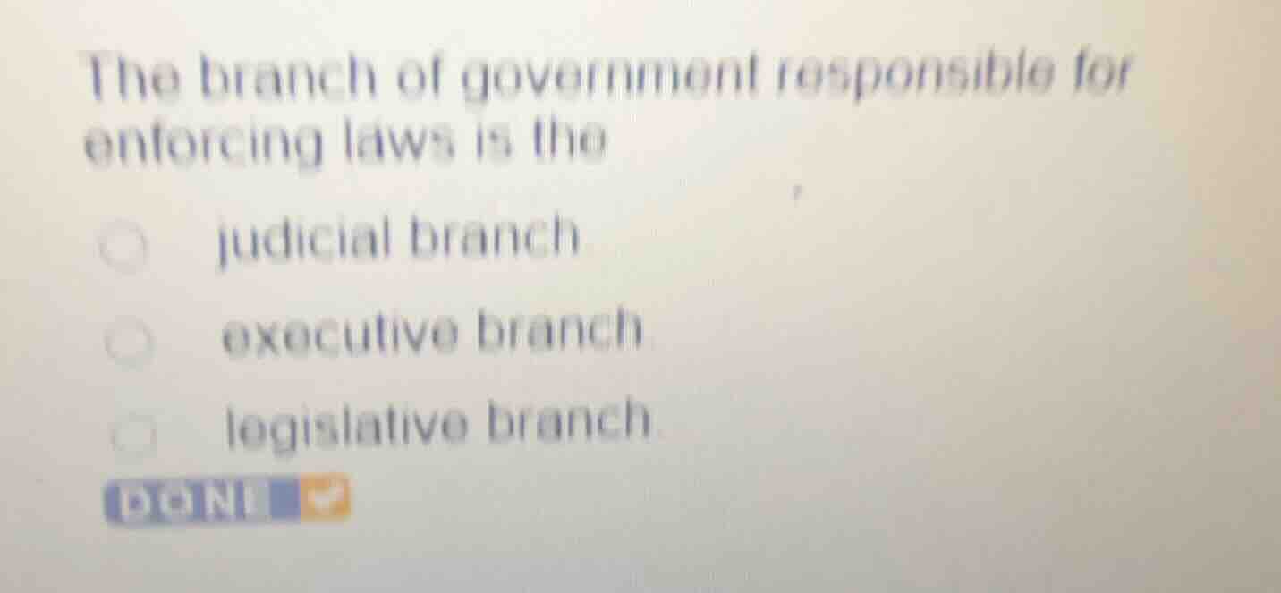 the branch of government responsible for enforcing laws is the judicial…