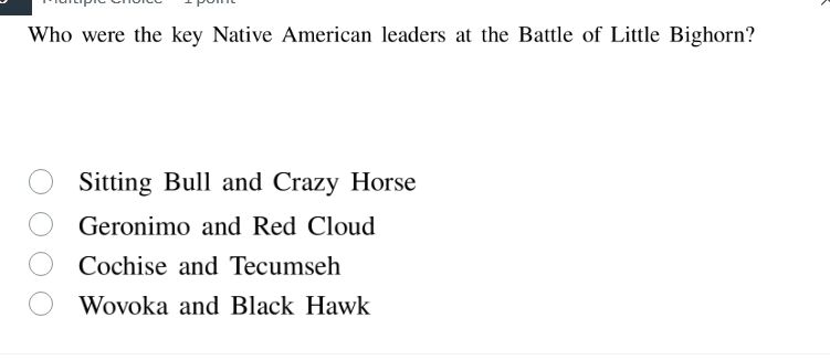 who were the key native american leaders at the battle of little bighor…