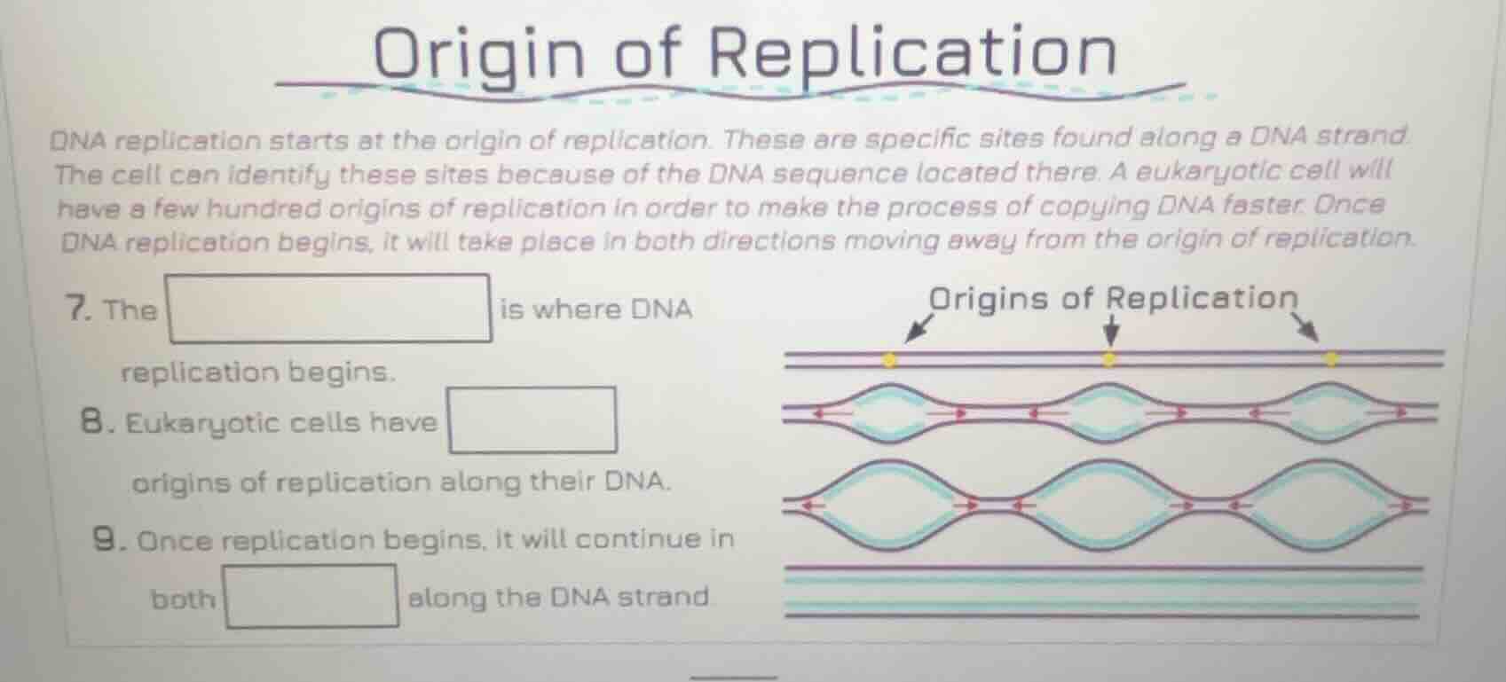 origin of replication dna replication starts at the origin of replicati…