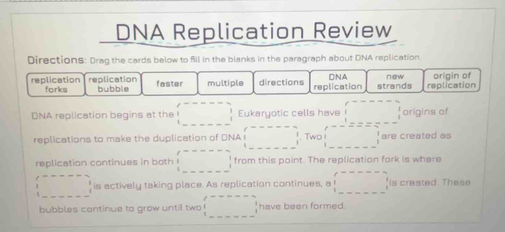 dna replication review directions: drag the cards below to fill in the …