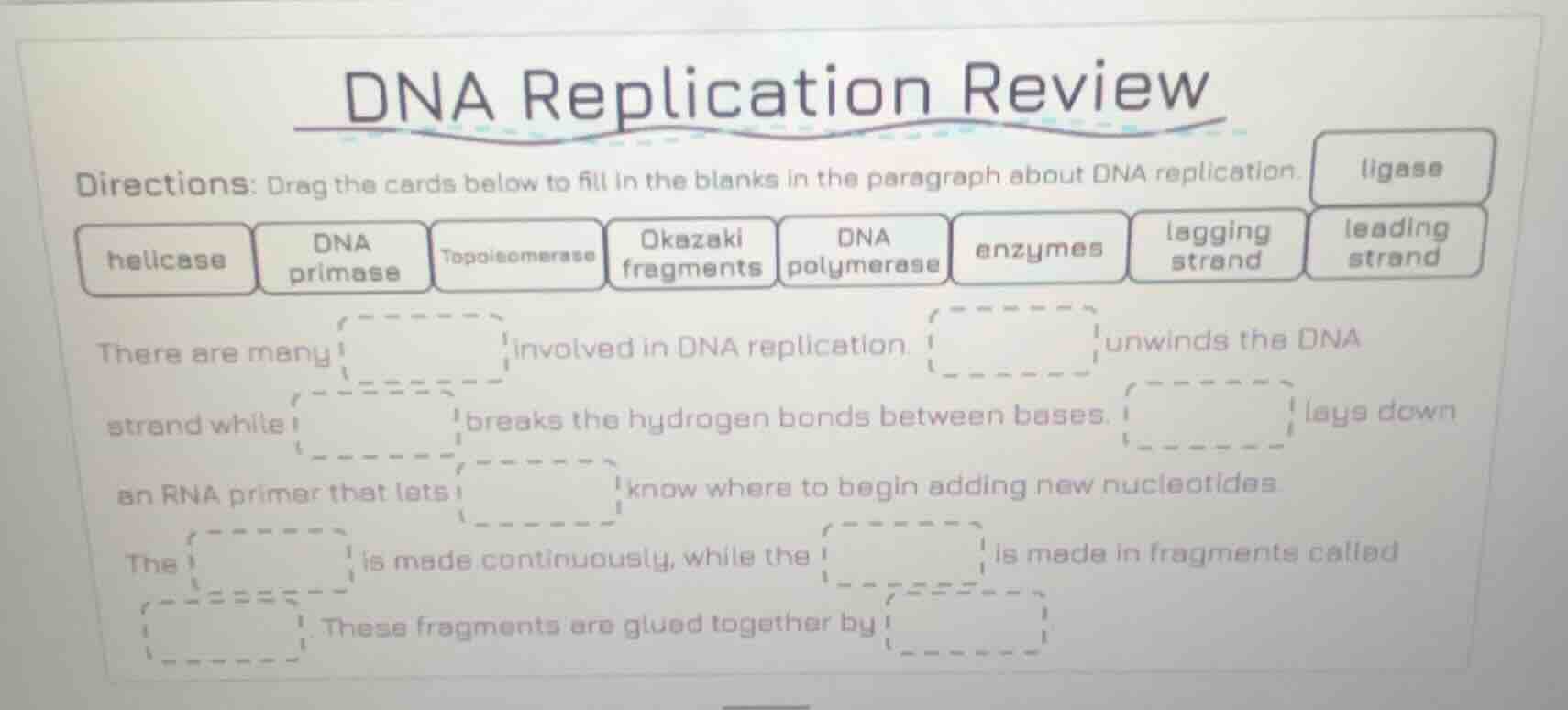 dna replication review directions: drag the cards below to fill in the …