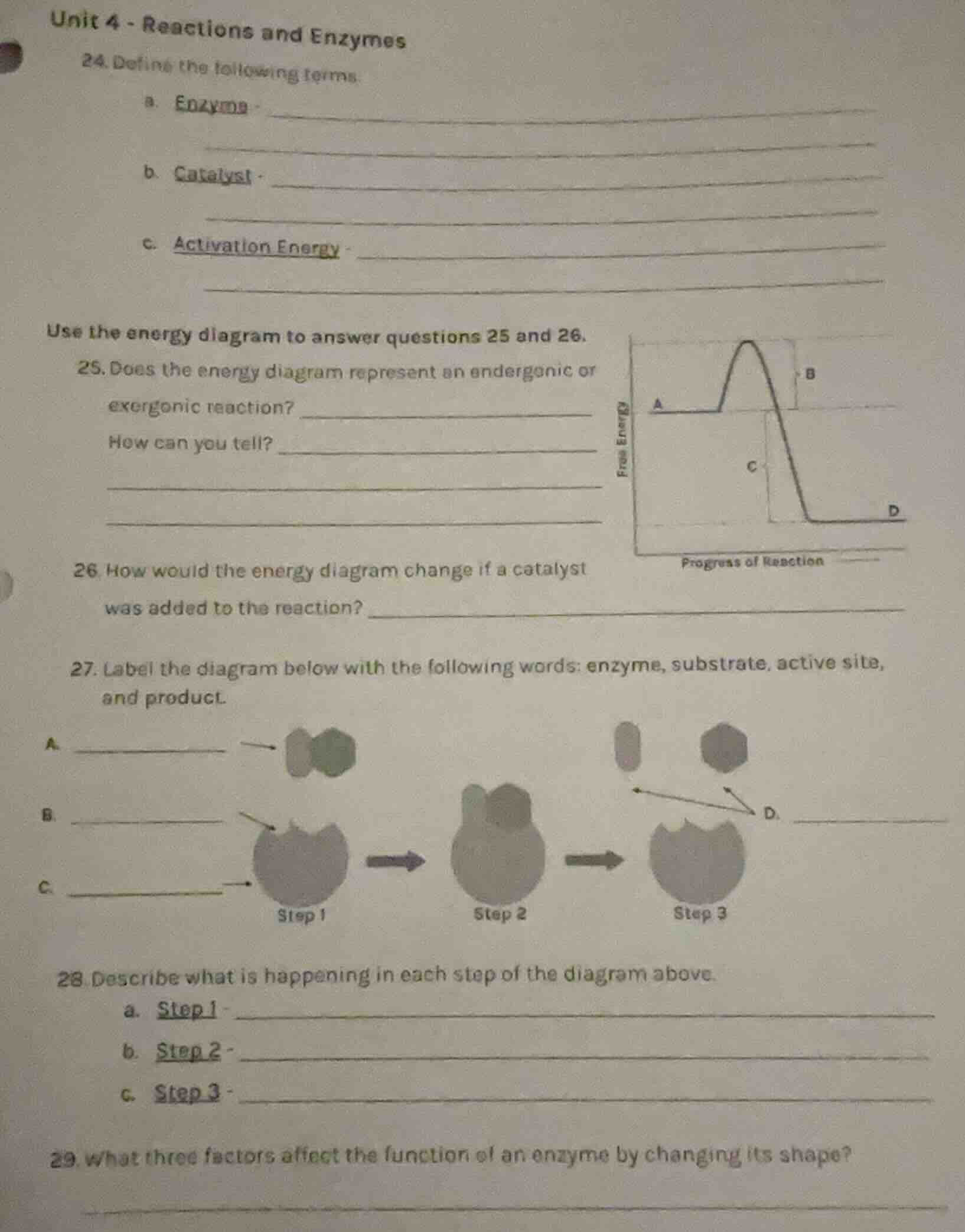 unit 4 - reactions and enzymes 24. define the following terms: a. enzym…