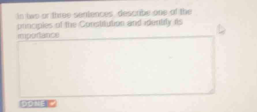 in two or three sentences, describe one of the principles of the consti…